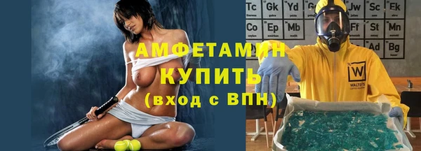 шишки Аркадак