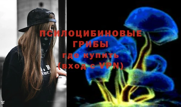 прущая мука Армянск