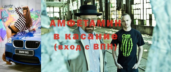шишки Аркадак