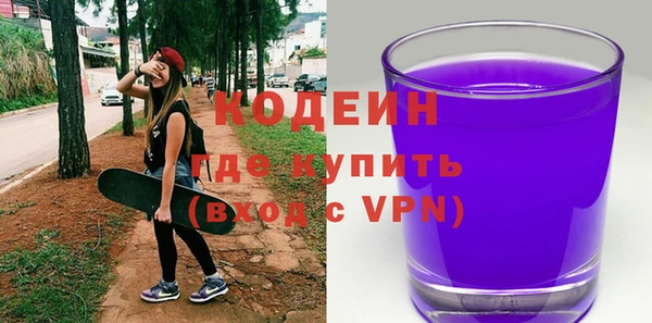 шишки Аркадак