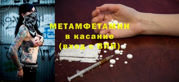 шишки Аркадак