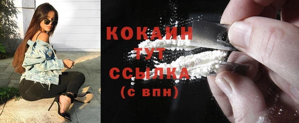 шишки Аркадак