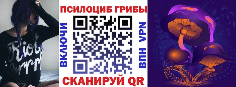 OMG зеркало  Светлый  Галлюциногенные грибы MAGIC MUSHROOMS 
